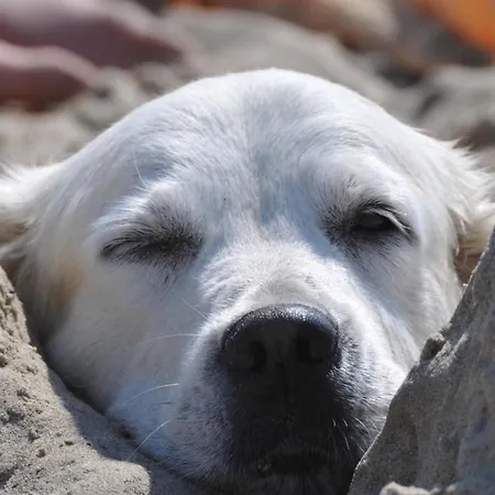 Strandliebe Horská chata